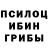 Псилоцибиновые грибы Magic Shrooms BEHRUZ Norbutayev