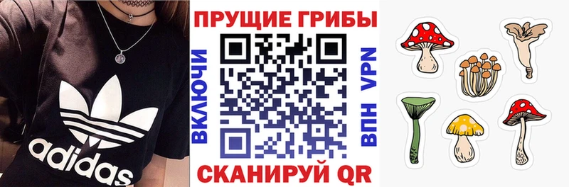 Галлюциногенные грибы Psilocybine cubensis  Туринск 